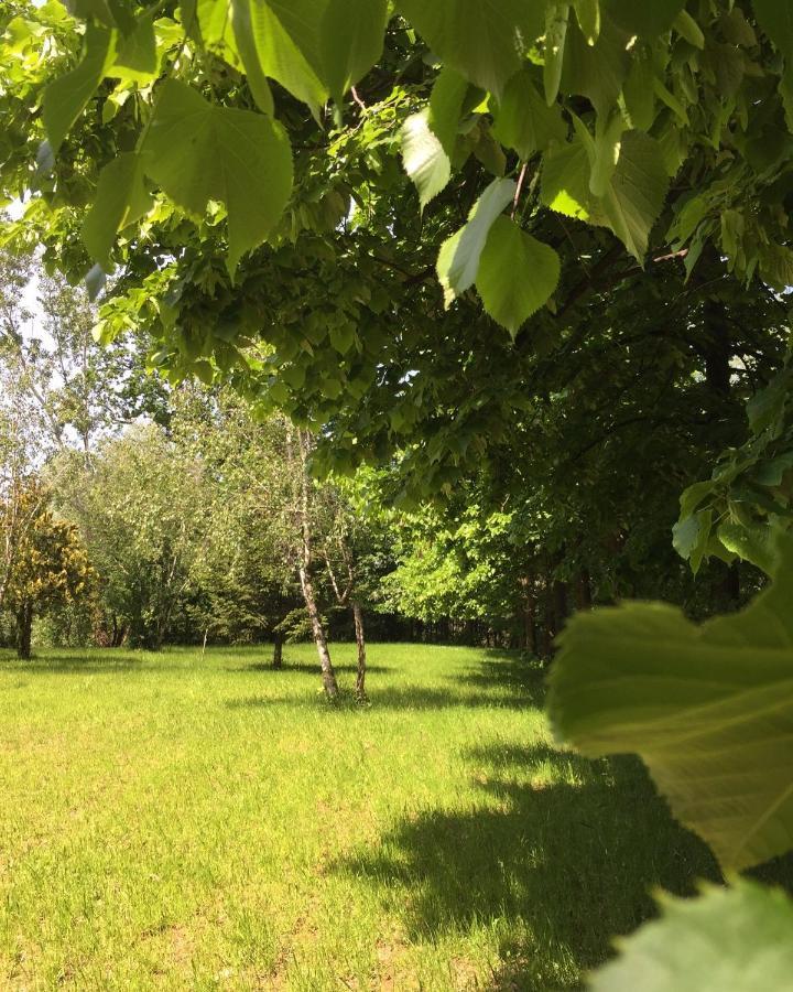 Santa Maria Rocca Happy Hill - Appartamento Bambu- Natura E Relax מראה חיצוני תמונה