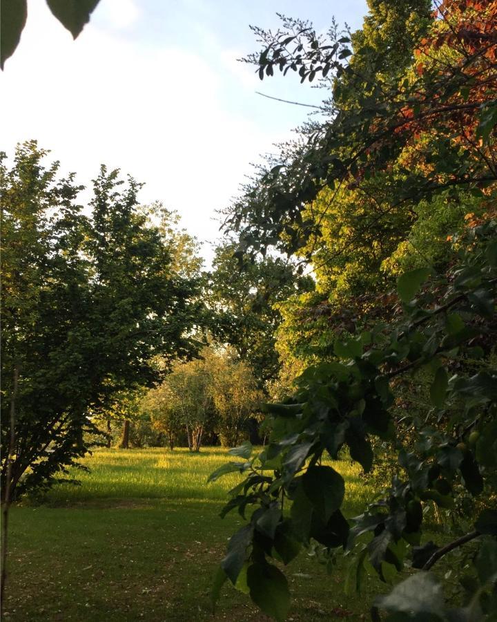 Santa Maria Rocca Happy Hill - Appartamento Bambu- Natura E Relax מראה חיצוני תמונה