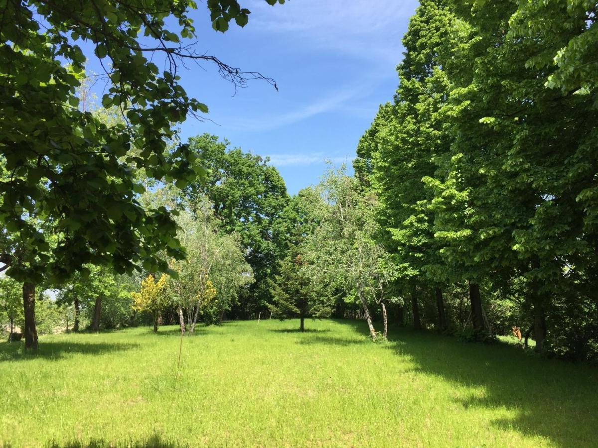 Santa Maria Rocca Happy Hill - Appartamento Bambu- Natura E Relax מראה חיצוני תמונה