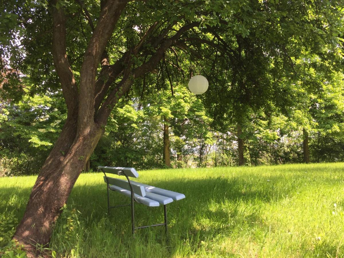 Santa Maria Rocca Happy Hill - Appartamento Bambu- Natura E Relax מראה חיצוני תמונה